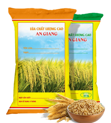 Bao PP dệt đựng lúa