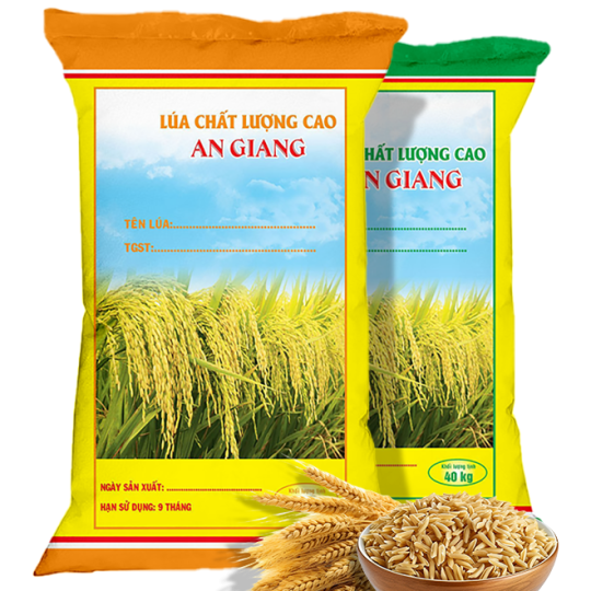 Bao PP dệt đựng lúa