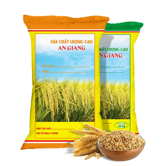 Bao PP dệt đựng lúa